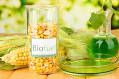 Brandon biofuel availability